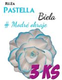 Ruža Pastella - Biela s modrými okrajmi - Zvýh. bal. 3 ks