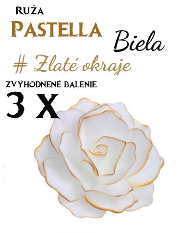 Ruža Pastella - Biela so zlatými okrajmi - Zvýh. bal. 3 ks