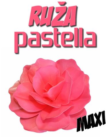 Ruža Pastella maxi 12 cm - sýta Ružová (Fuchsia)