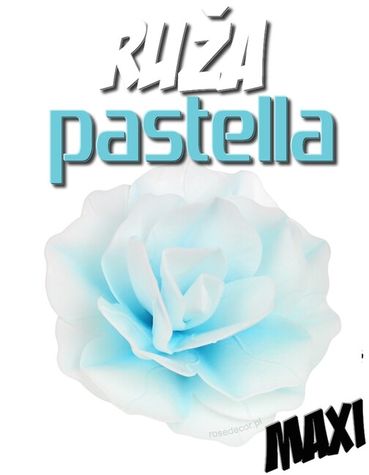 Ruža Pastella maxi - tieňovaná Modrá