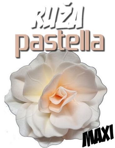 maxi Ruža Pastella - tieňovaná žlto-ružová